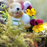 Workshop- Lav din egen flotte påskedekoration